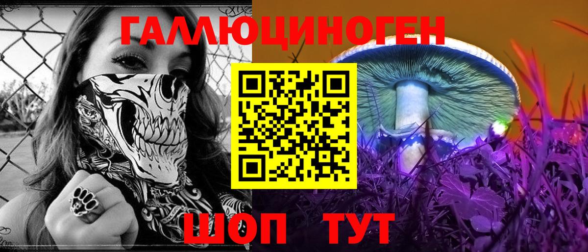 Псилоцибиновые грибы Cubensis  Вход с VPN  Новоалтайск 